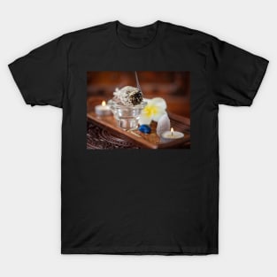 Smoking sage ritual objects T-Shirt